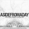 ASIDEFROMADAY “Manufactured landscape”