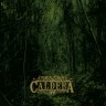 CALDERA “Mist through your consciousness”