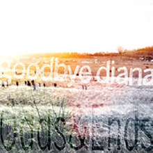 GOODBYE DIANA “Odds & ends”