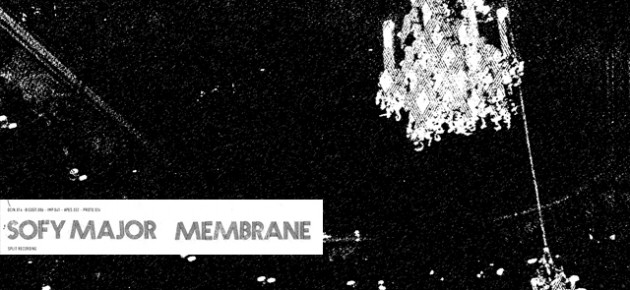 IMP 041: SOFY MAJOR vs MEMBRANE