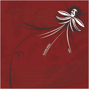 HIRO / BRUME RETINA “Split”